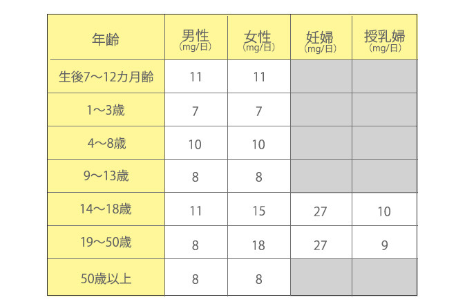 鉄分の適正摂取量